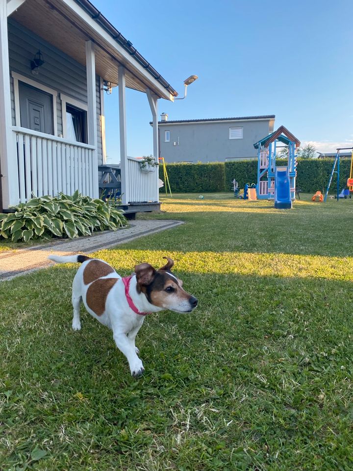 Ferien in Polen,Urlaub Rewal,Ostsee Strand mit Hund,Fewo in Fürstenwalde (Spree)