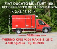 Fiat DUCATO MAXI MULTIJET150 FLEISCHBAHNEN THERMOKING Niedersachsen - Hessisch Oldendorf Vorschau