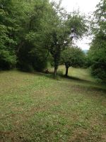 Wiese / Wald in Bensheim Hochstädten Hessen - Bensheim Vorschau