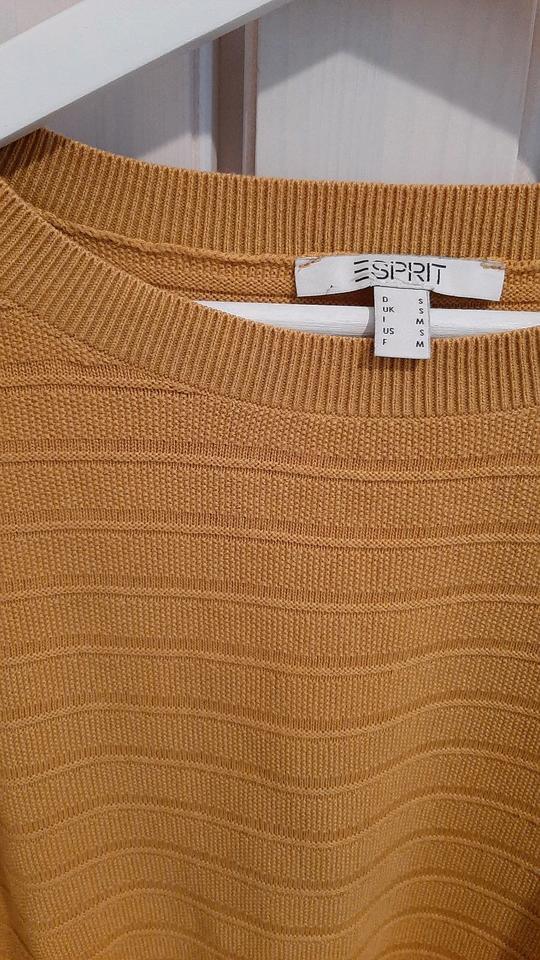 Esprit Strickpullover senfgelb Gr. S in Kulmbach