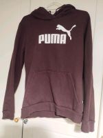 Weinroter Pullover von Puma Kreis Ostholstein - Eutin Vorschau