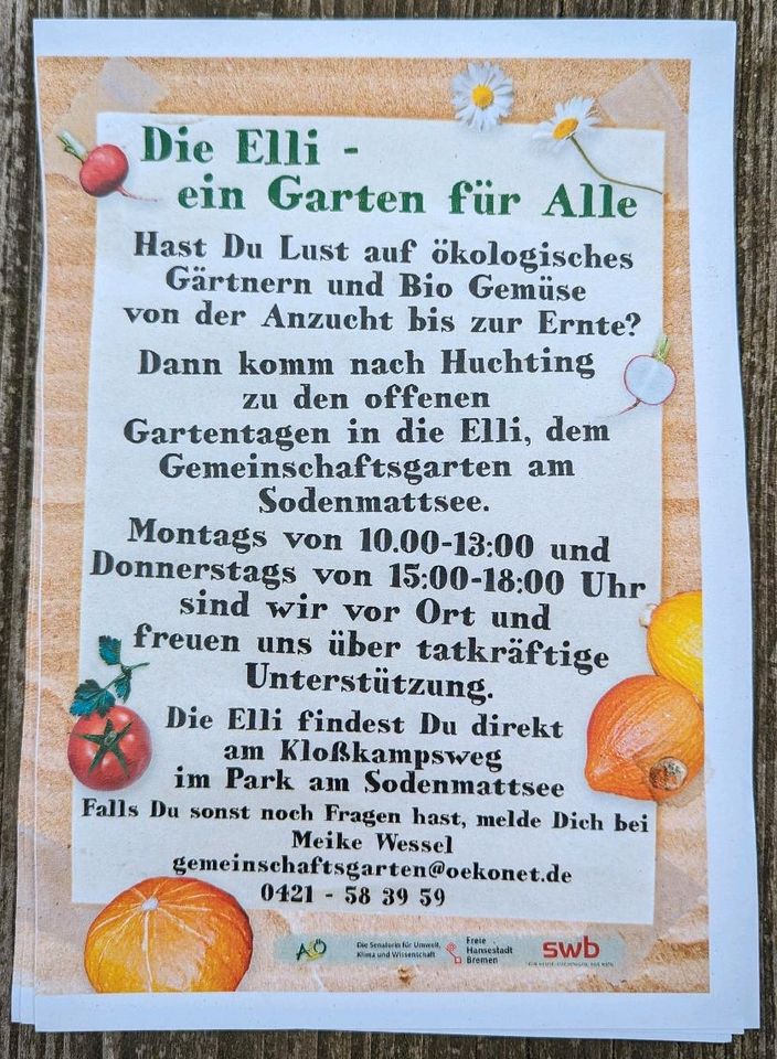 Gemeinschaftsgarten Elli in Huchting sucht neue Mitglieder! in Bremen