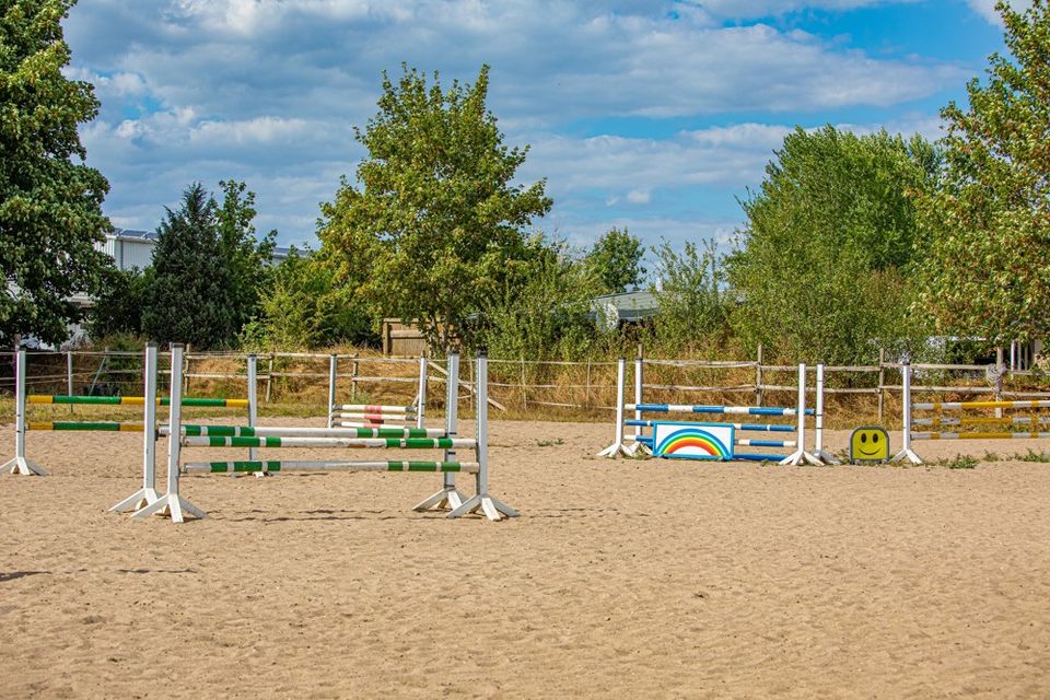 Top-Reitanlage in Schleinähe sucht Pferdeprofis in Fahrdorf