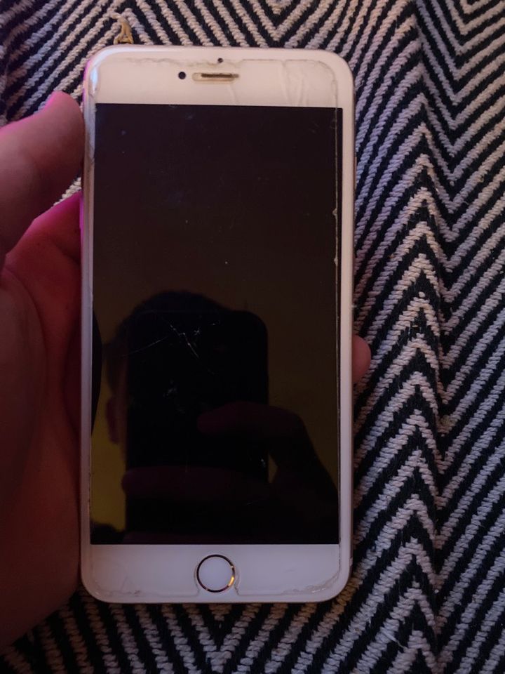 iPhone 6 Plus gold mit Hülle in Pansdorf