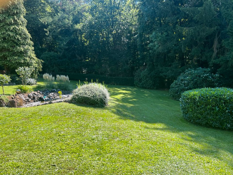 Garten und Landschaftspflege, Hausmeisterdienste, Grabpflege in Büdingen