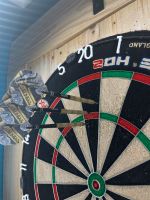 Peter Wright Euro 11 Element Gold Darts - 20g Thüringen - Suhl Vorschau