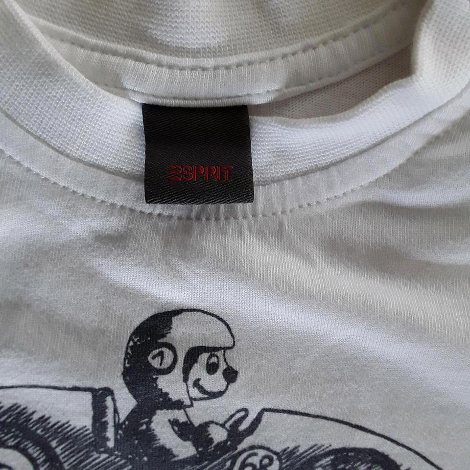 T- Shirt Esprit Gr. 62 w.neu in Wonfurt