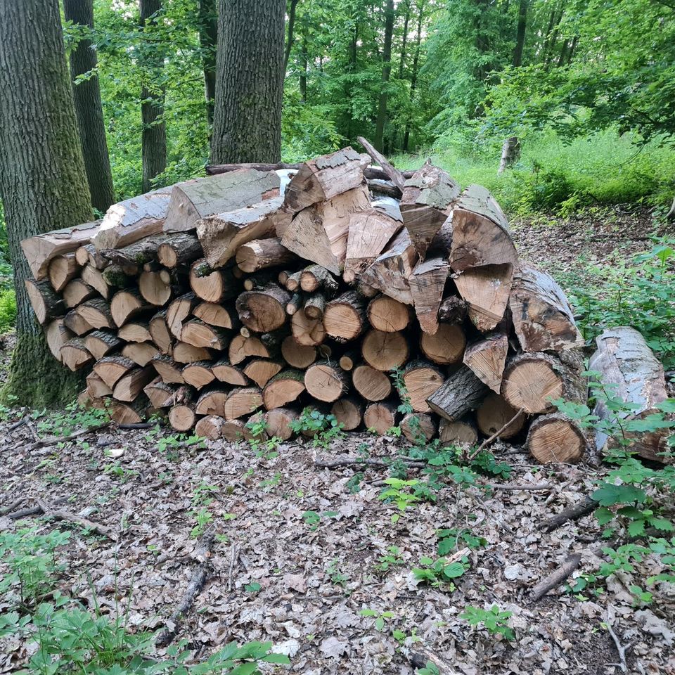 Brennholz Buche Eiche trocken in Meinhard