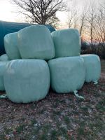 Silage Siloballen aus Biozertifizierten Betrieb Hessen - Rabenau Vorschau