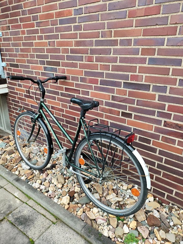 Damenfahrrad 28Zoll Shimano Schwalbe in Mönchengladbach