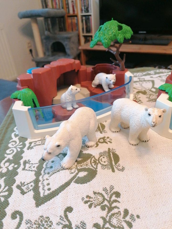 Schleich Eisbären, Robben und Gehege in Großschirma