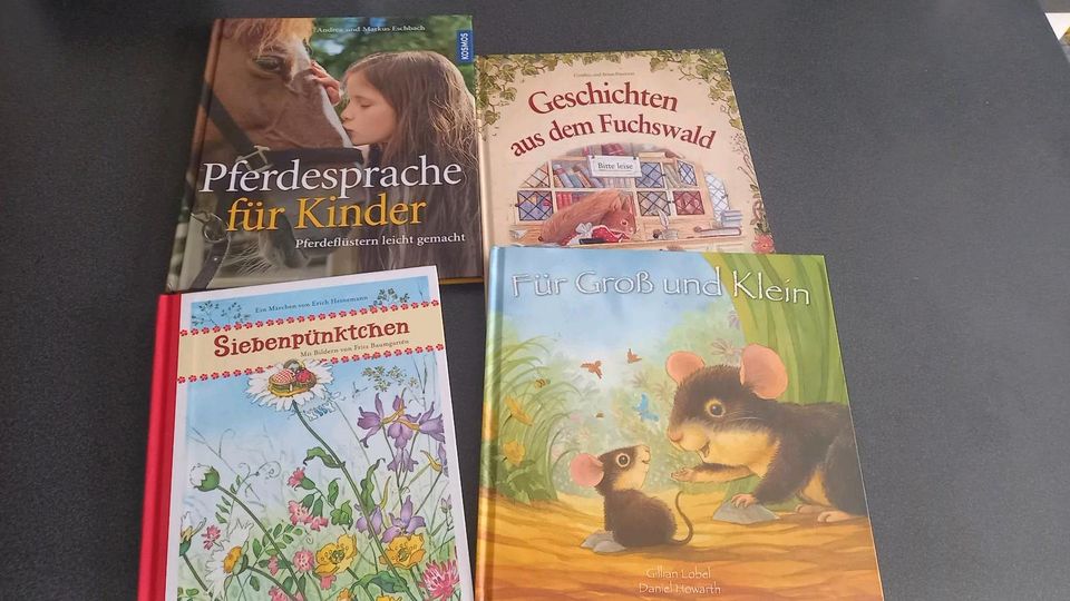 Verschiedene Kinderbücher in Eicklingen