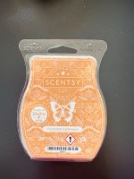 Scentsy Duftwachs Bayern - Schwabach Vorschau