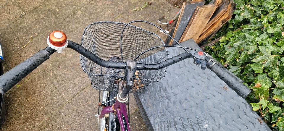 26 zoll Damenfahrrad in Hamburg