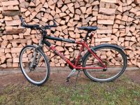 Fahrrad X-Force Cross * 24 Gänge Bayern - Allershausen Vorschau