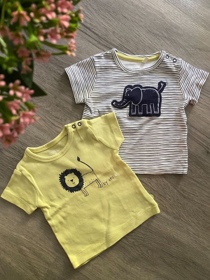 Staccato T-Shirts Zweierpack Paket | Löwe & Elefant | Gr. 56 in Balve