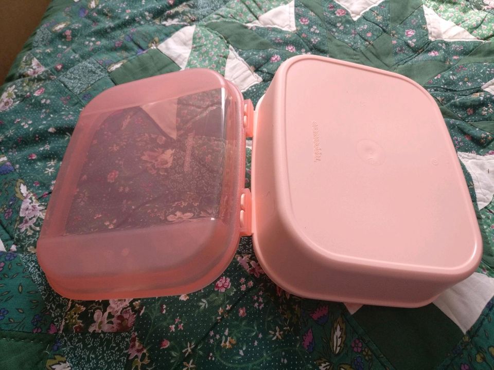 Tupperware - A02 Kleines Naschkätzchen 1,7 Liter in pink in Umpferstedt