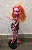 Große Monster High Puppe 45cm Bayern - Bad Brückenau Vorschau