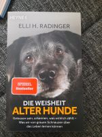 Buch Die Weisheit Alter Hunde Nürnberg (Mittelfr) - Aussenstadt-Sued Vorschau