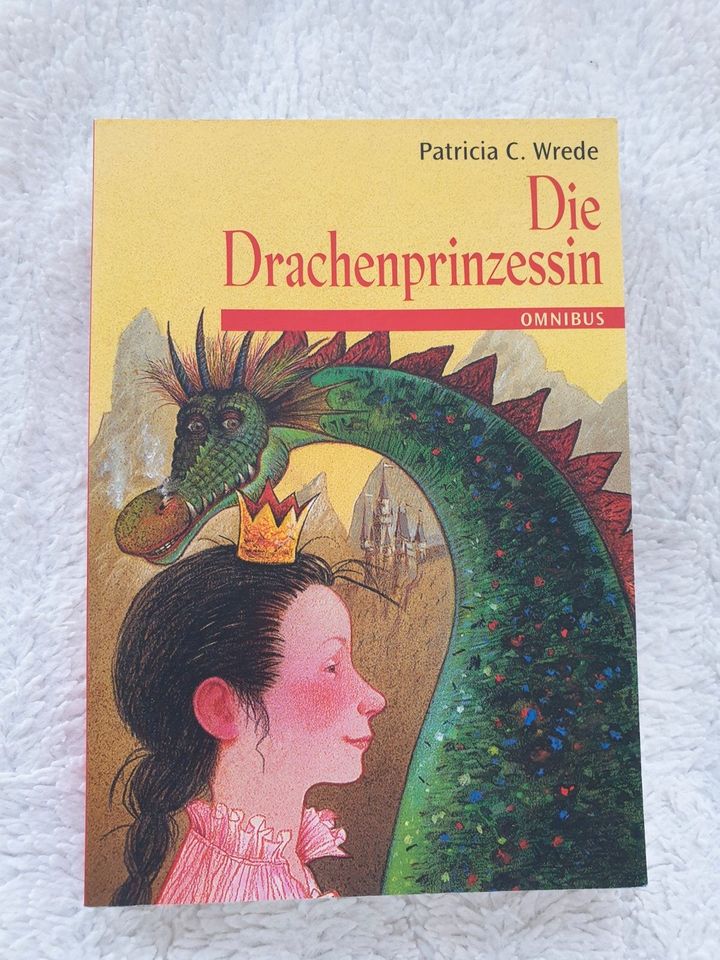 Die Drachenprinzessin - Fantasy / Jugendbuch in Bremen