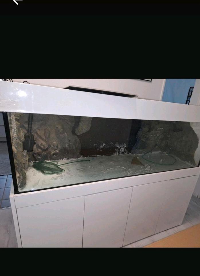 Aquarium Unterschrank ohne becken.. in Hanau