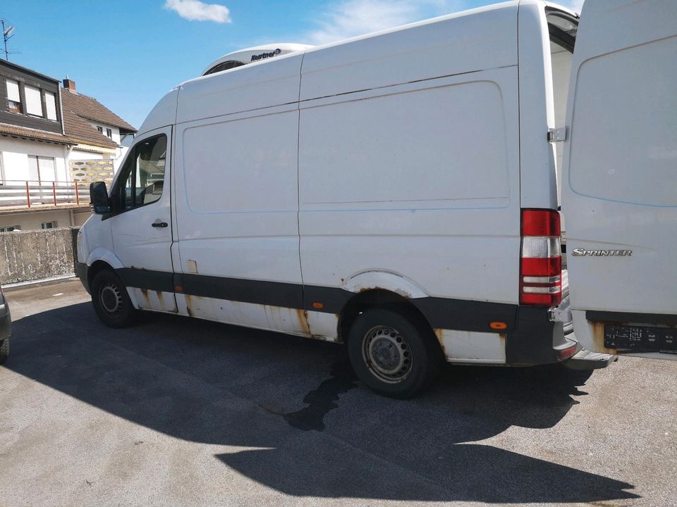 Sprinter 316 cdi Kühlwagen in Iserlohn