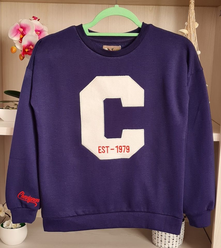 Chevignon Kinder Mädchen Gr.152 Sweatshirt Lagarmshirt Pullover in Wolbeck