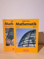Mathematik Analysis und Analytische Geometrie Rheinland-Pfalz - Mainz Vorschau