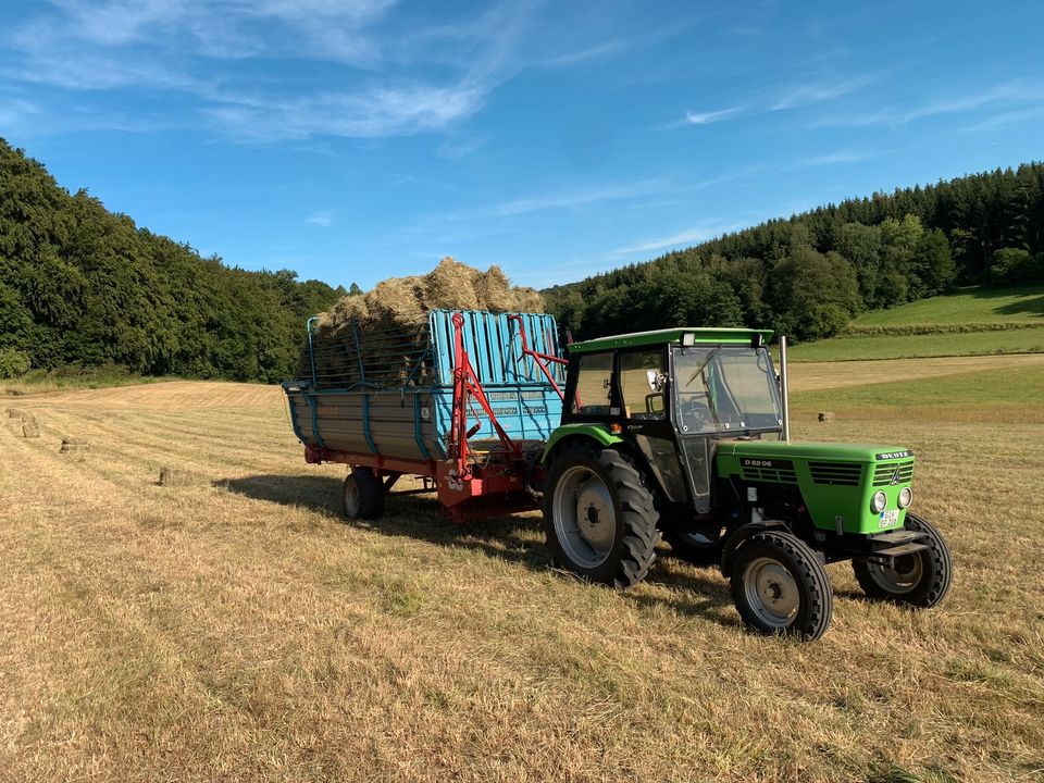 Heu HD Ballen Heuballen Bunde Heubunde kleine Ballen in Laubach