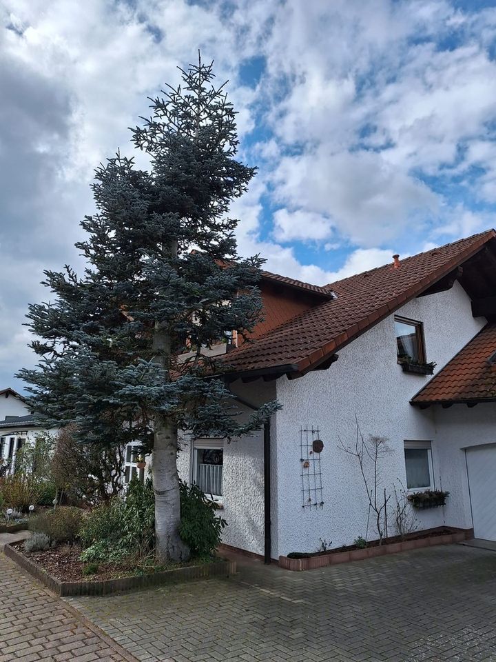 Großes Haus im Grünen in Landstuhl-Melkerei provisionsfrei zu verkaufen in Landstuhl