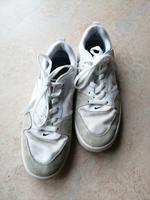 Nike, SB, Sneaker, Gr. 40, 25cm Bayern - Beratzhausen Vorschau