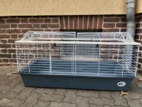 Käfig für Kaninchen, Meerschweinchen, Ratten, Degus Sachsen - Chemnitz Vorschau