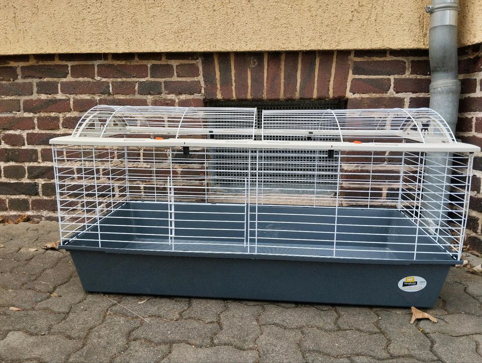 Käfig für Kaninchen, Meerschweinchen, Ratten, Degus in Chemnitz