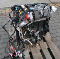 RENAULT LAGUNA 2,0 DCI M9R-805 M9R805 MOTOR KOMPLETT Brandenburg - Hennigsdorf Vorschau