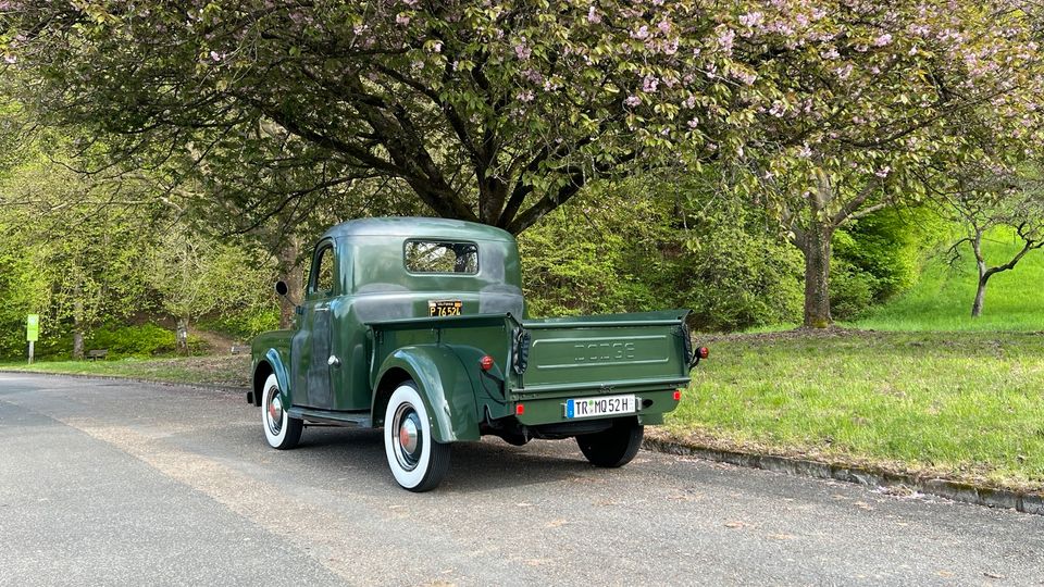 Dodge B3B Pickup Oldtimer in Ralingen