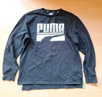 Puma Herren Pullover Sweatshirt Gr.M Hessen - Baunatal Vorschau