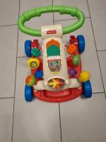 Lauflernwagen Fisher-Price Baden-Württemberg - Bopfingen Vorschau