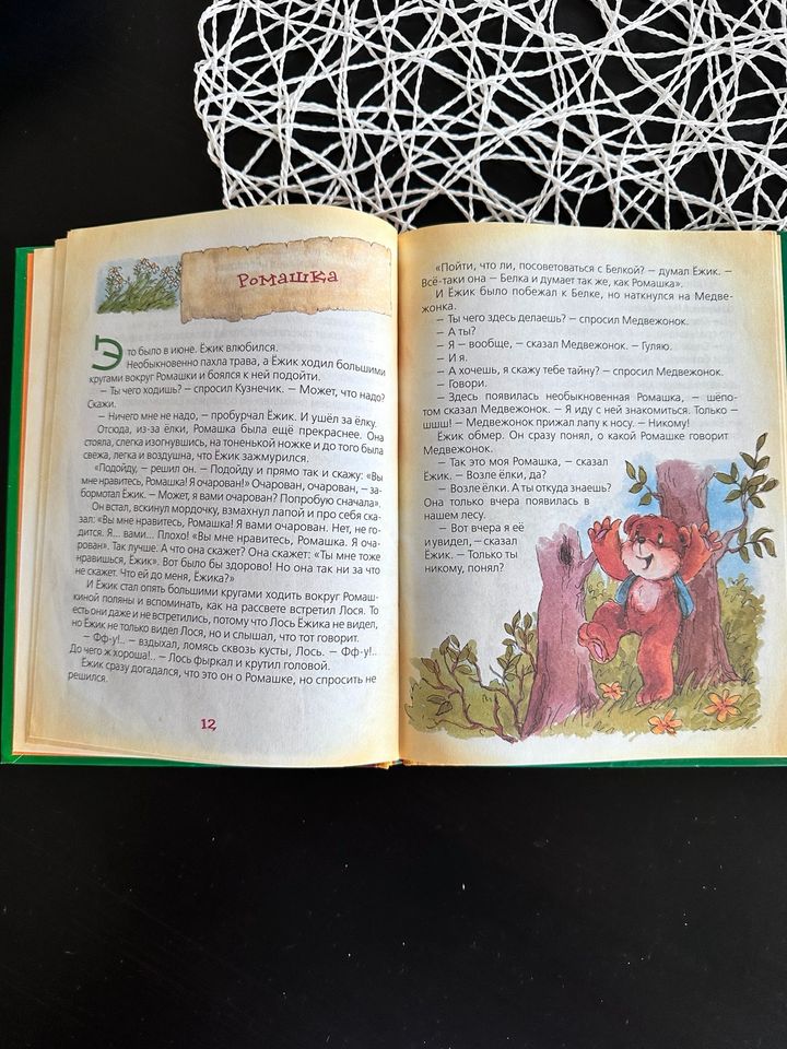 Russische Kinder Bücher Русские детские книги in Theilheim