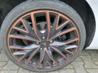 2 Original Cupra Leon ST Alufelgen 19 Zoll Nordrhein-Westfalen - Pulheim Vorschau