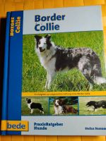 Buch Border Collie Schleswig-Holstein - Wittenborn Vorschau