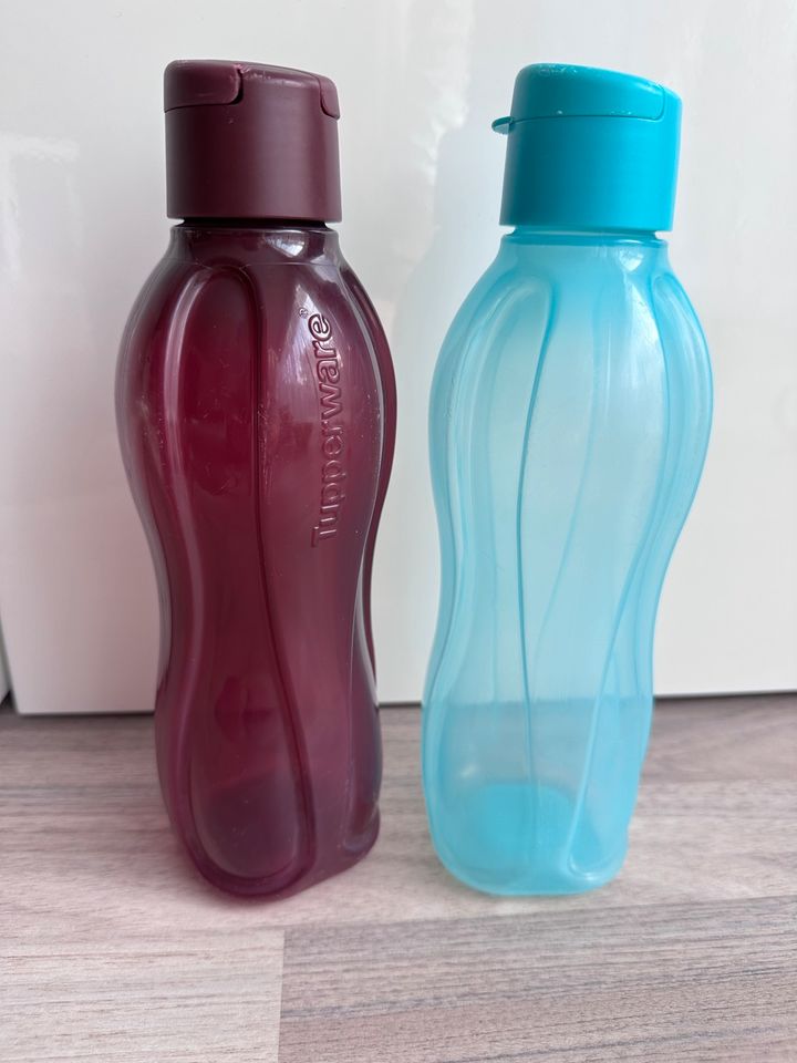 2x Tupperware Echo Easy 0,7l 700ml Flasche in Dreieich