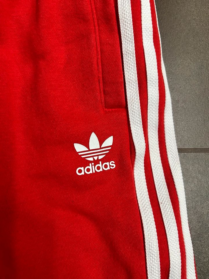 Adidas Anzug Set in Thum