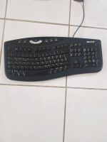 Computer Tastaturen Hessen - Groß-Bieberau Vorschau