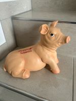 Großes Sparschwein Shopping Schwein neu Hingucker Nordrhein-Westfalen - Borken Vorschau