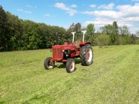 Traktor Schlepper Ihc mc cormick d 439 Bayern - Prackenbach Vorschau