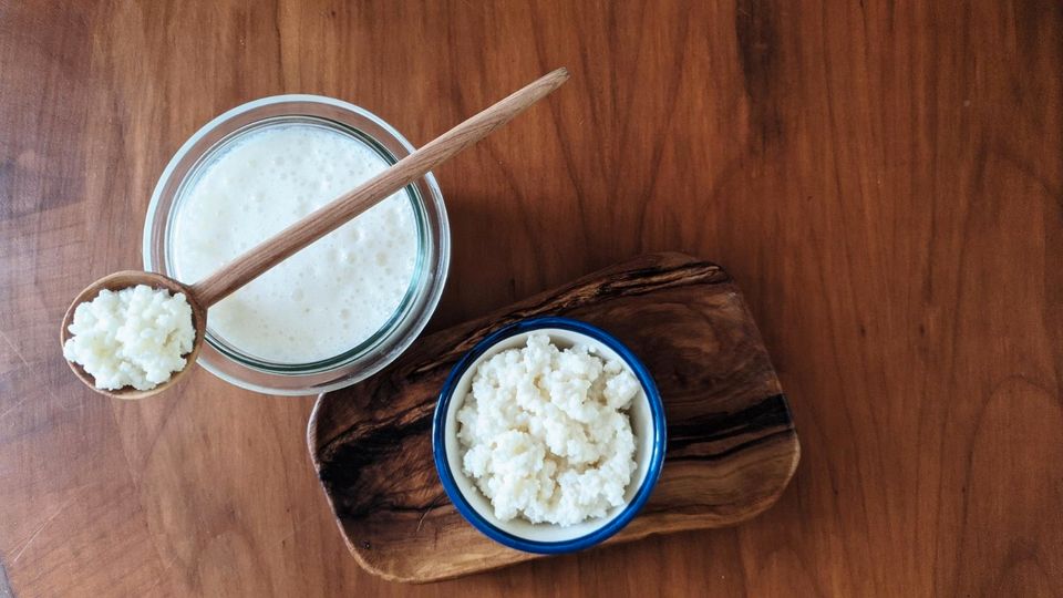 ⭐ BIO Kefirknollen zum Selbermachen von Milchkefir 15g ⭐ in Marburg