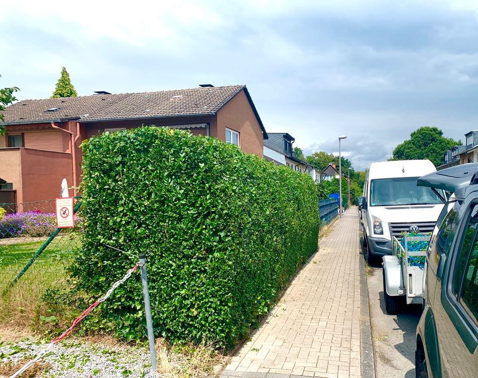 Hausmeister, Gartenpflege, Heckenschnitt, Hecke schneiden in Bochum