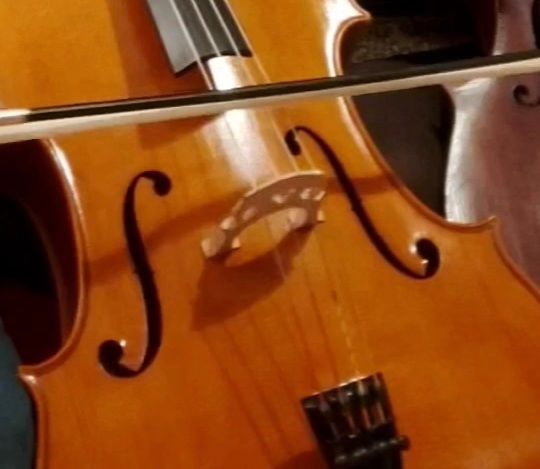 Violoncello in Tübingen