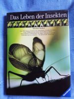 Das Leben der Insekten von Mitsuhito Imamori Hamburg-Nord - Hamburg Ohlsdorf Vorschau