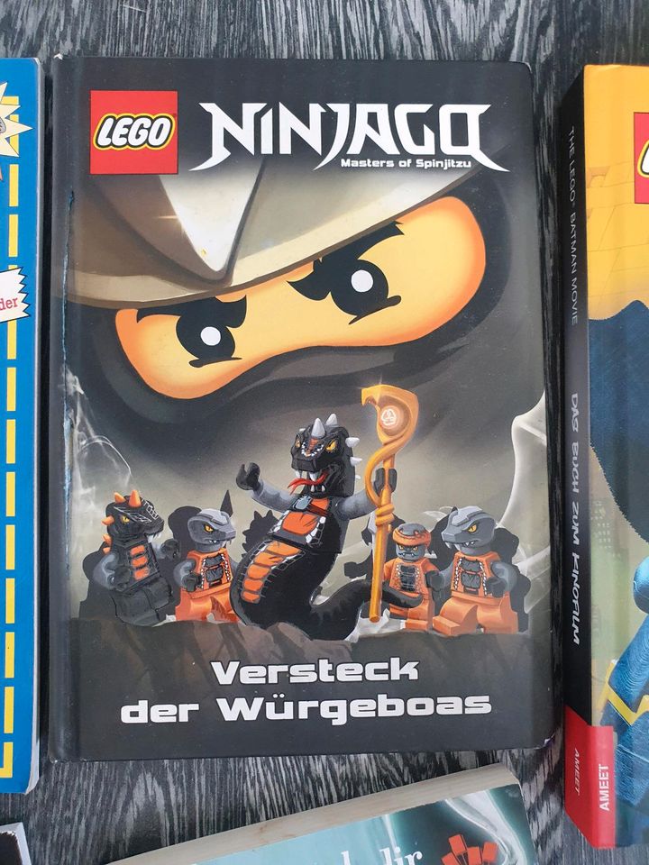 7x Kinder Buch LEGO NINJAGO BATMAN  DRACHENZÄHMEN ??? Lesespaß in Dortmund